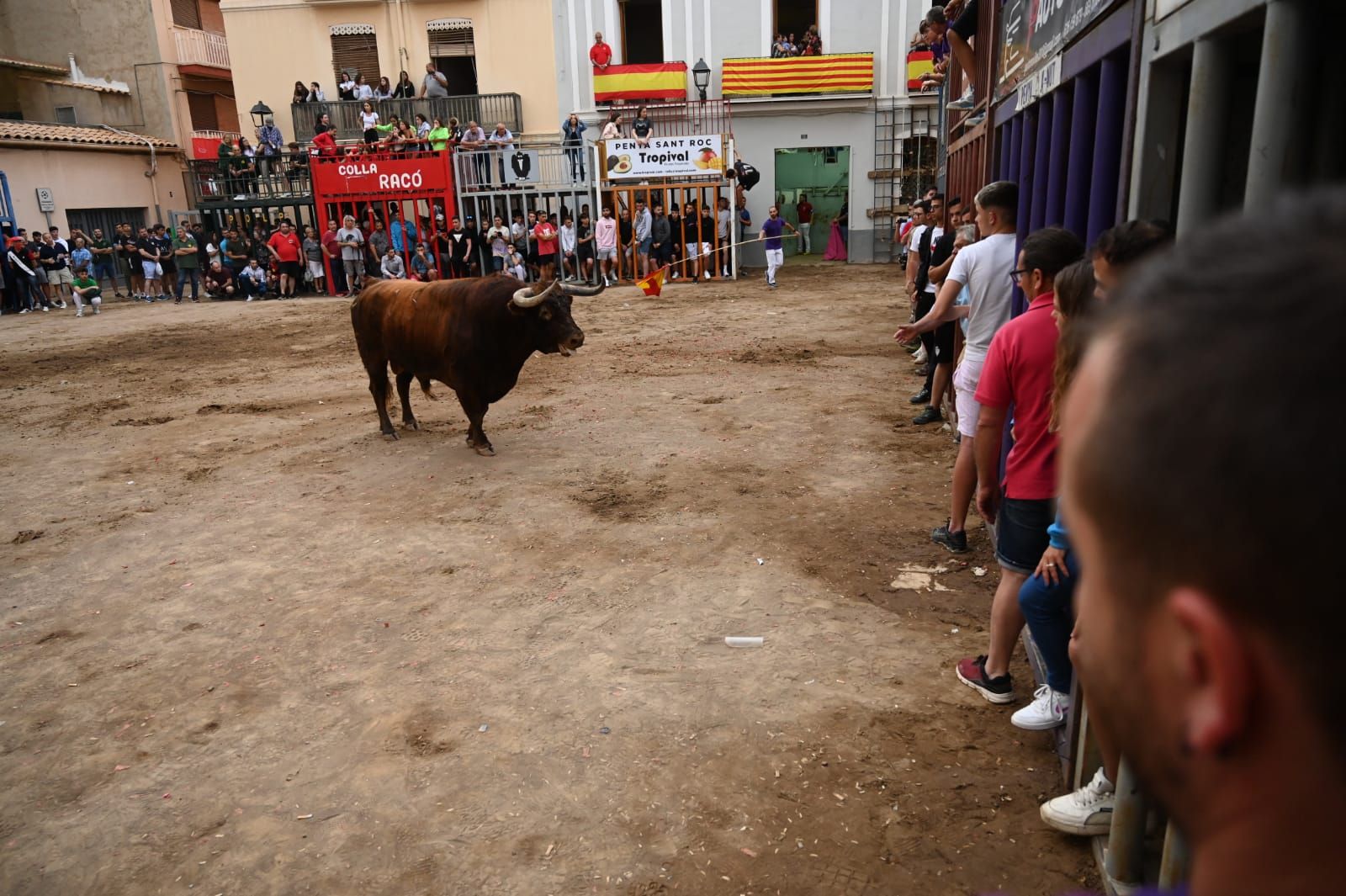 Las mejores fotos que ha dejado la tarde taurina del martes en las fiestas de Almassora 2022