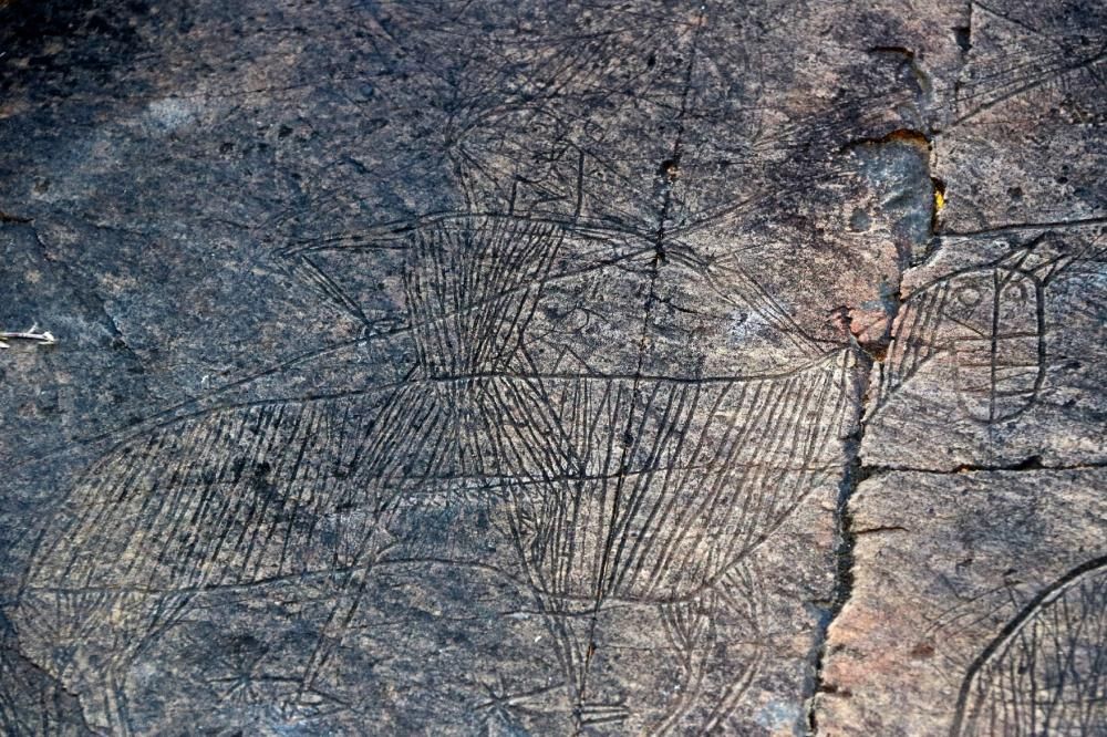 Descobreixen a la Vall d'Àssua centenars de gravats a la pedra de l'Edat mitjana