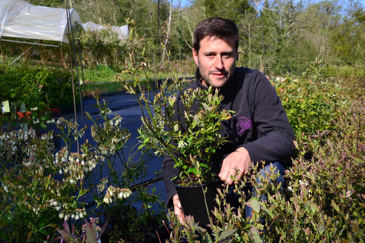 Andrián Garcia muestra algunas de las plantas que tiene a la venta en su vivero.