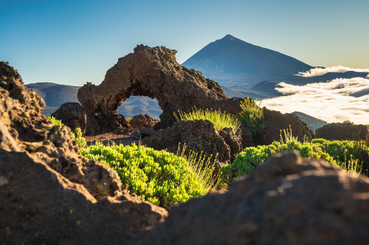 Naturaleza volcánica y el Teide de fondo en Tenerife