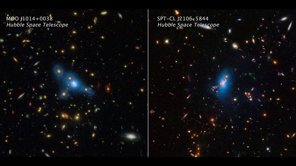 Imágenes del Telescopio Espacial Hubble de dos cúmulos masivos de galaxias llamados MOO J1014+0038 (panel izquierdo) y SPT-CL J2106-5844 (panel derecho). El color azul agregado artificialmente se traduce de los datos del Hubble, que capturaron un fenómeno llamado luz intracúmulo. La misma es generada por las estrellas “rebeldes” o sin hogar.