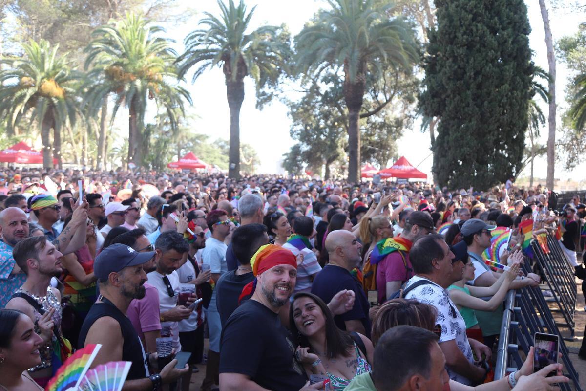 Fotogalería | ¡Búscate en las imágenes de Los Palomos de Badajoz!