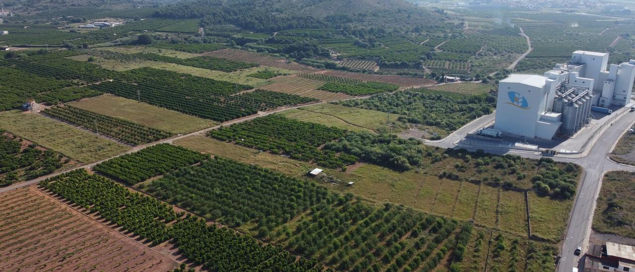 Foto aérea de las parcelas en las que Bertolín tiene previsto desarrollar 800.000 metros cuadrados de suelo industrial para poner en marcha el polígono Barranc de Talavera.