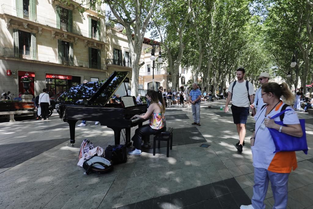 Los ciudadanos de Palma se sienten Chopin por un día