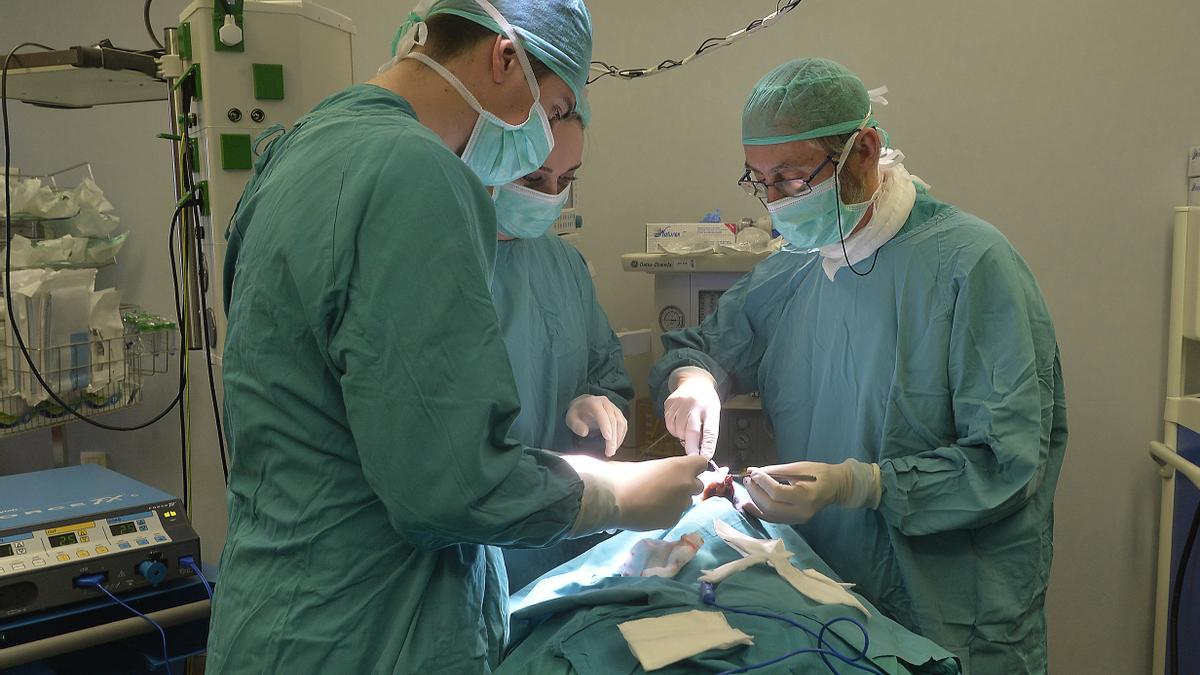 Intervención quirúrgica en un quirófano