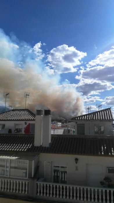 Incendio forestal en Terrateig