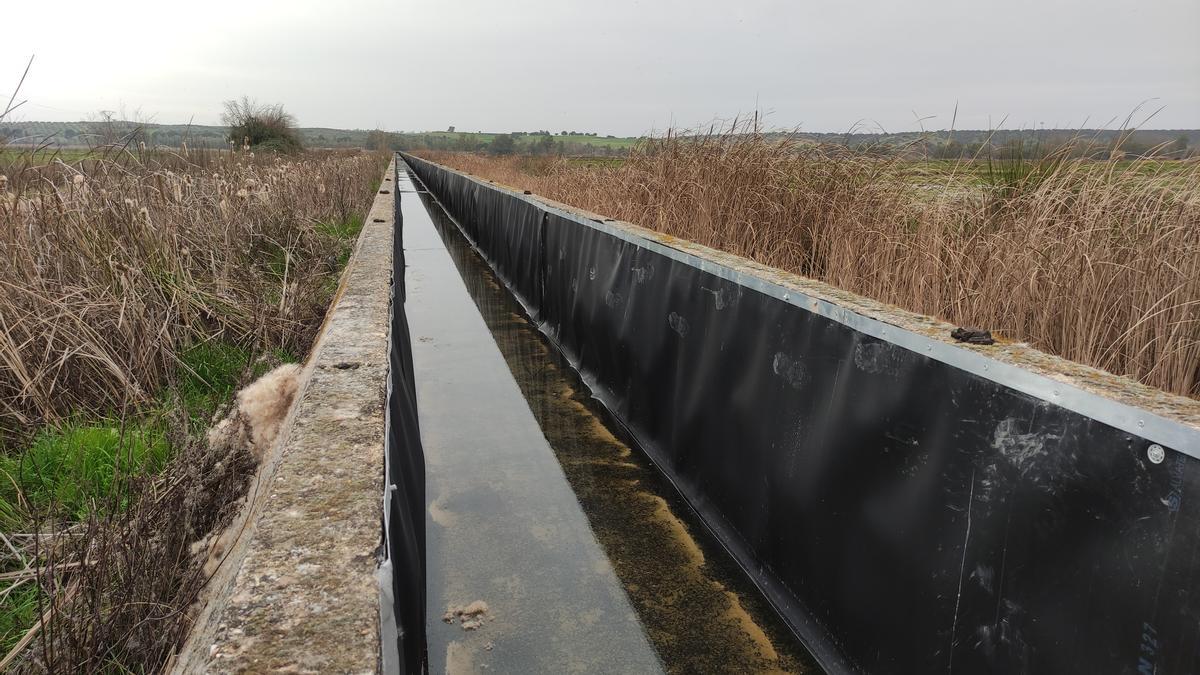 Una de las acequias del canal de Orellana.