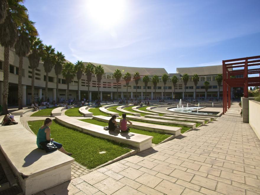 Universidad de Alicante | Diversidad de grados en todas las áreas del conocimiento