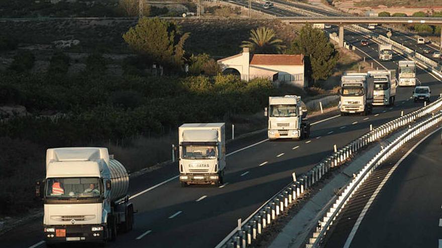 Desmantelan en Torrevieja una red que vendió cientos de carnés para ser camionero