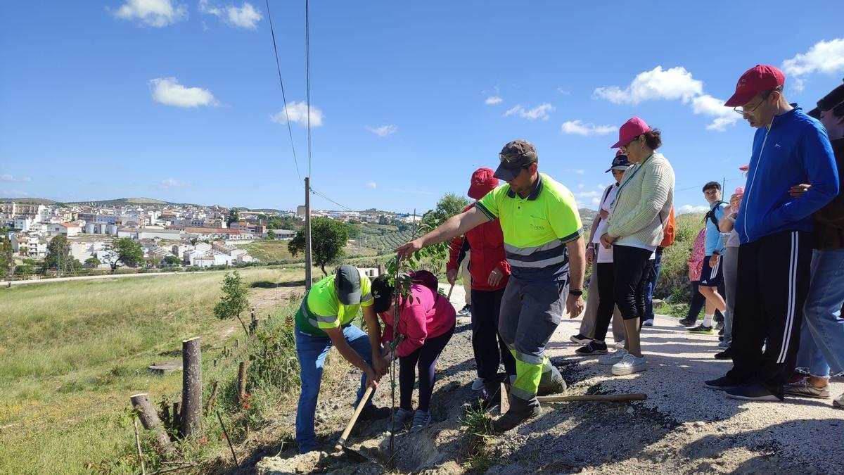 menos especies invasoras y más sombra para pasear