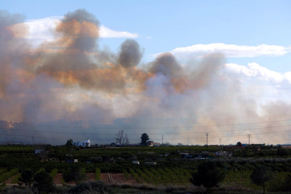 Incendio parque fluvial del Turia en Manises