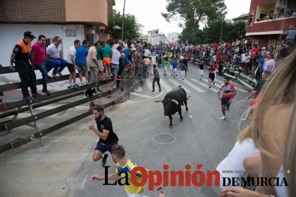 Quinto encierro en Calasparra