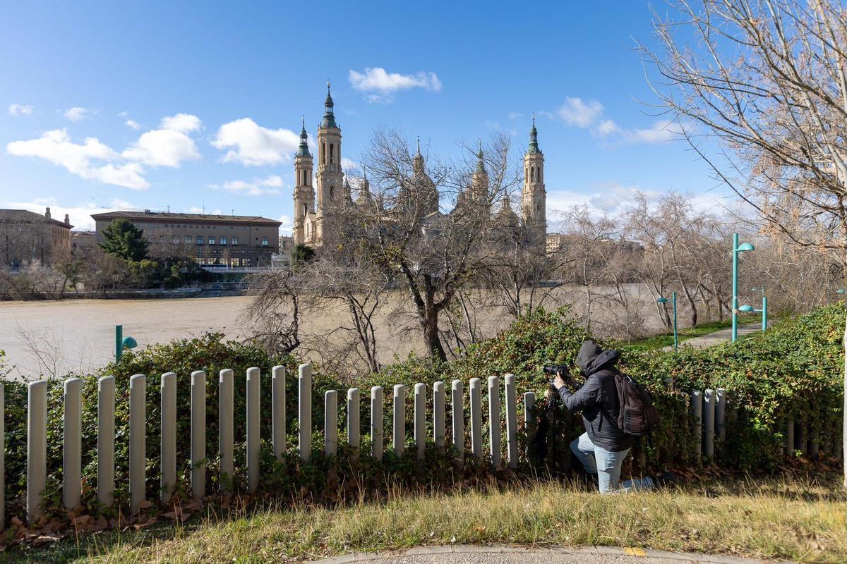 En imágenes I Árboles caídos en Zaragoza y parques cerrados por el viento