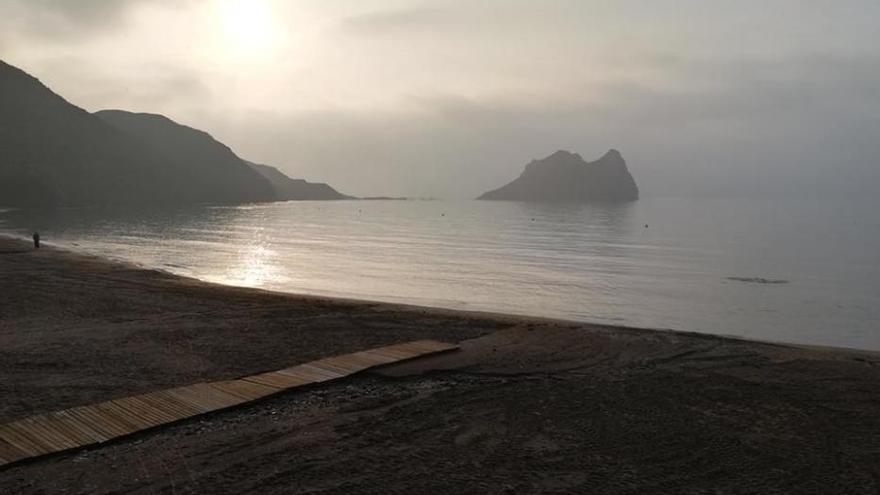 Un delfín aparece muerto en la Playa Amarilla de Águilas