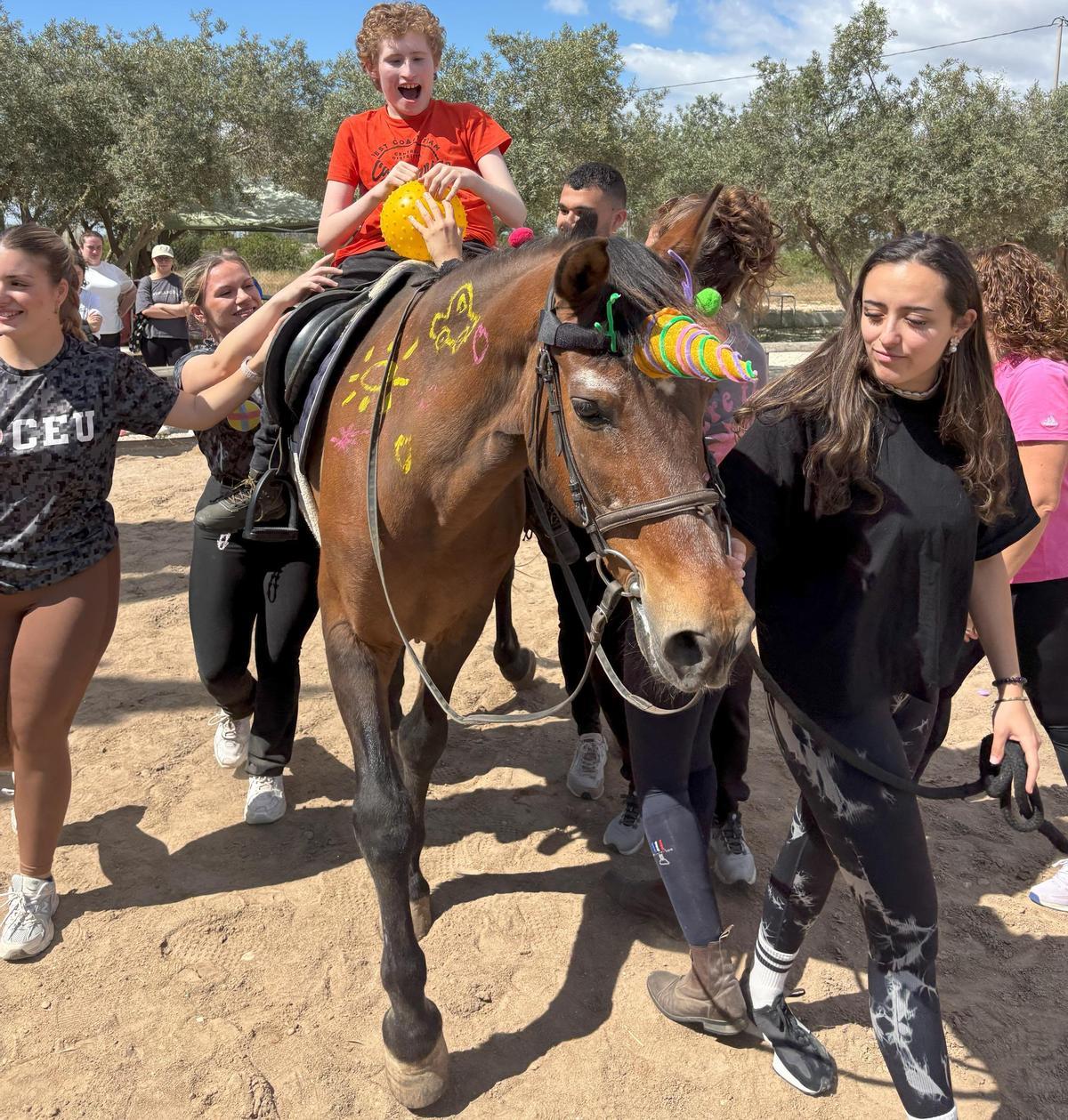La hipoterapia se basa en el movimiento tridimensional del caballo y en el vínculo que se establece entre paciente, terapeuta y anima