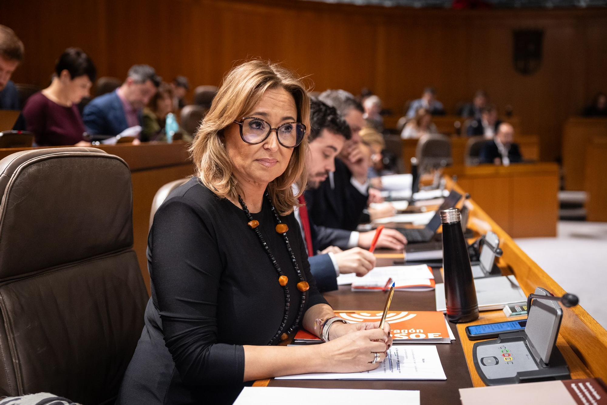 Así ha sido el pleno de las Cortes de Aragón de este martes 27 de noviembre
