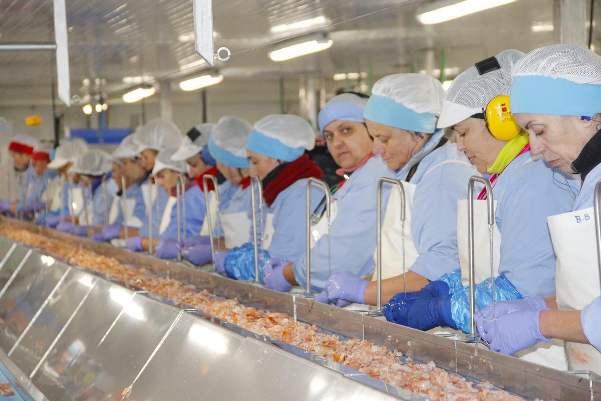 Línea de limpieza de langostino en Cabomar Congelados, en Marín