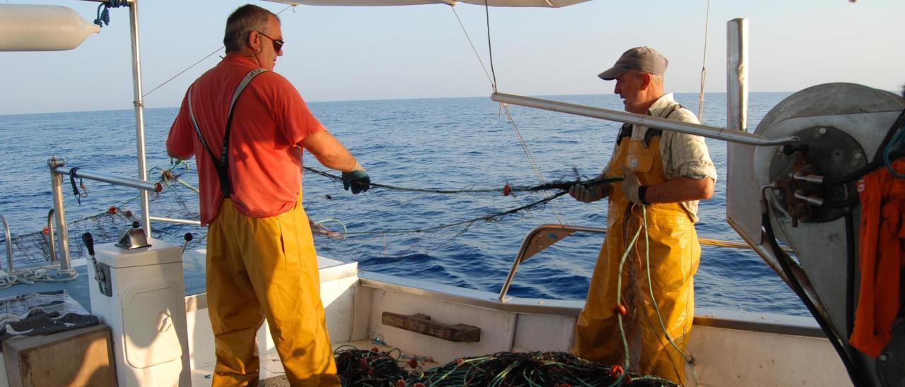 Los pescadores de trasmallo deberán devolver al mar las algas rojas calcáreas arrancadas por sus redes.