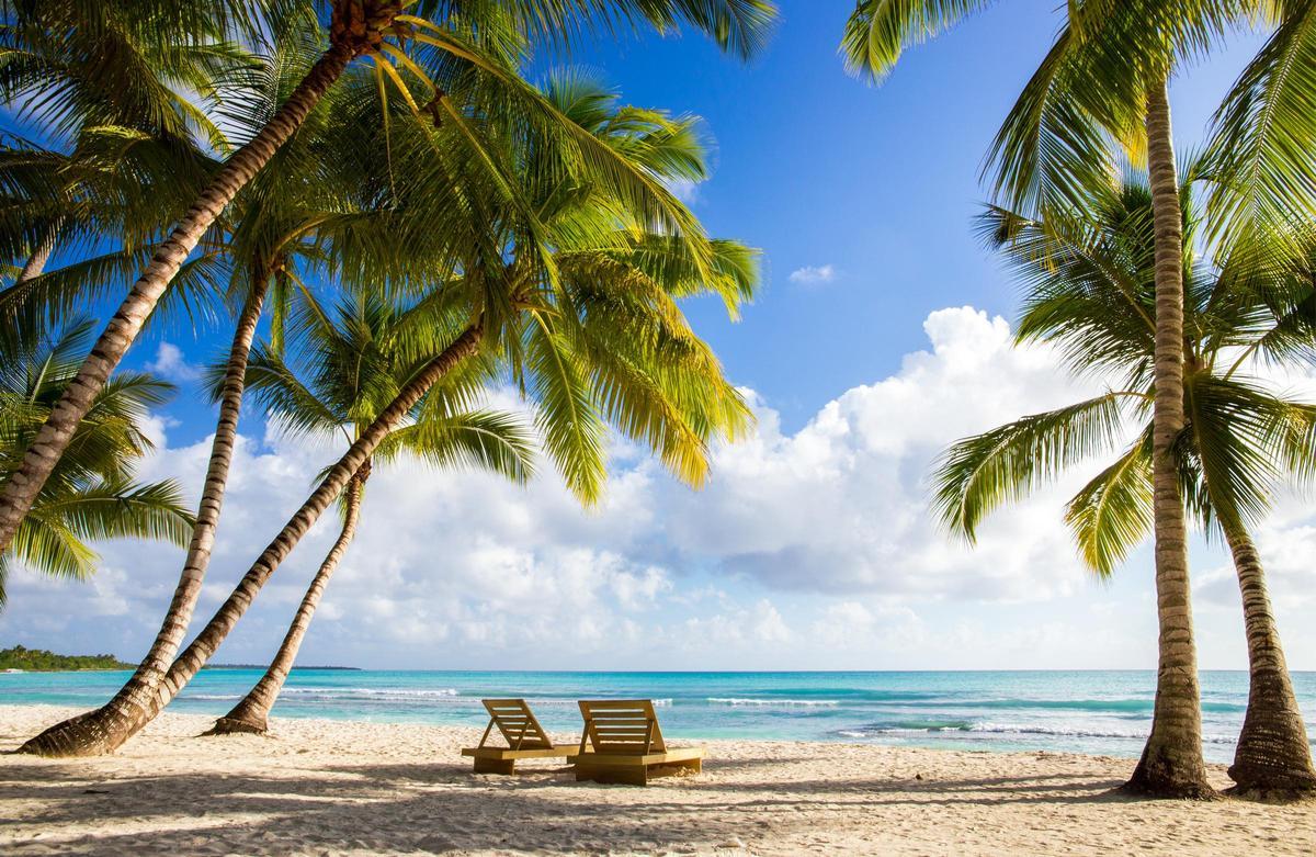 En las playas de Isla Saona podrás relajarte o descubrir su impresionante vida marina