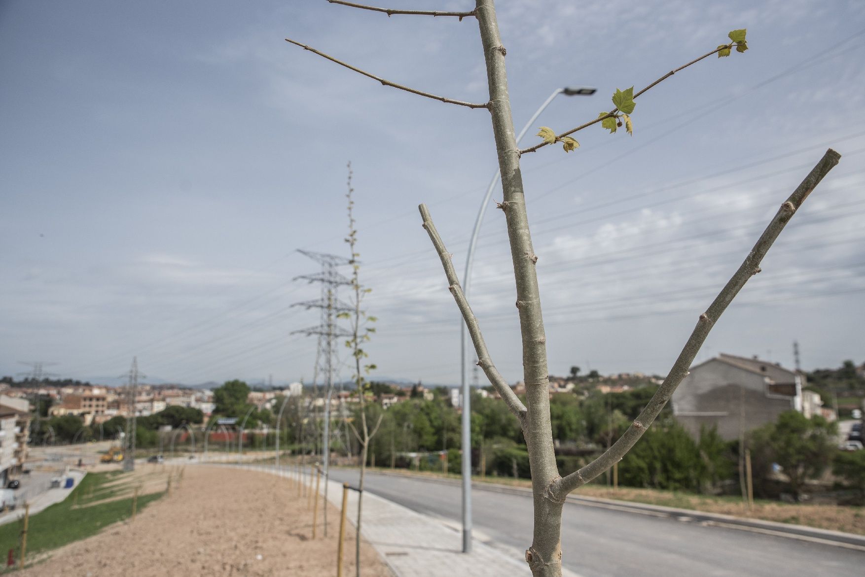 Arbres i fanals es fan seva la nova avinguda Països Catalans