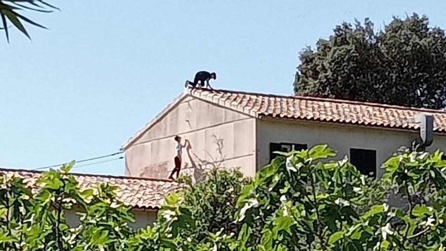 Jóvenes en los tejados de la escuela de Bunyola: el ayuntamiento advierte a las familias y la Policía Local incrementa la vigilancia