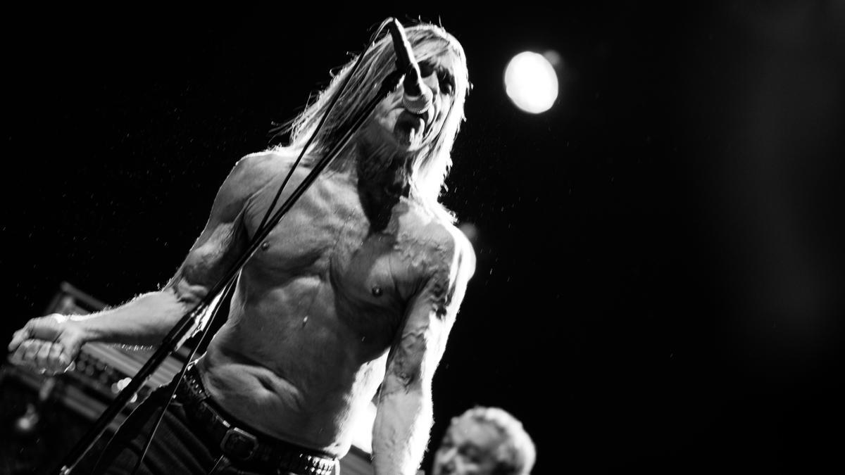 Iggy Pop &amp; The Stooges