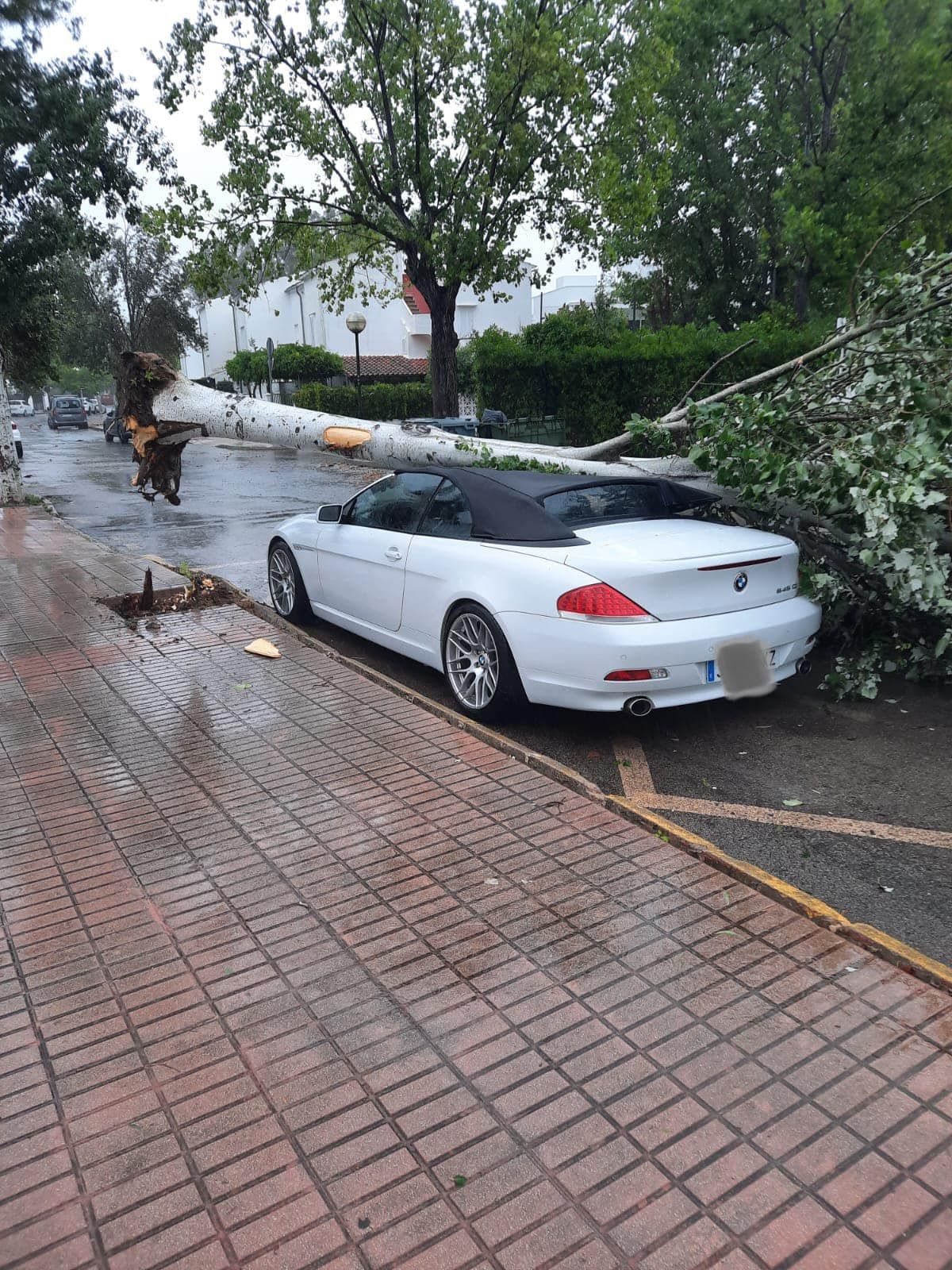 In Bildern: Das Unwetter auf Mallorca und die Schäden, die es hinterließ