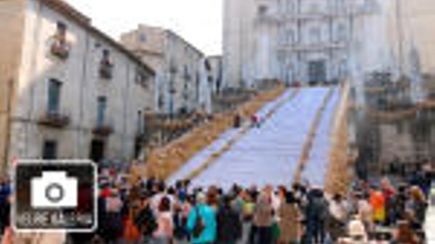 Convençuts  a mitges amb les escales de la Catedral