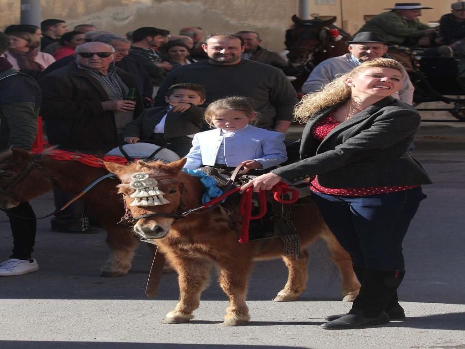 Los vecinos de Cartagena se han acercado junto a sus mascotas a recibir la bendición