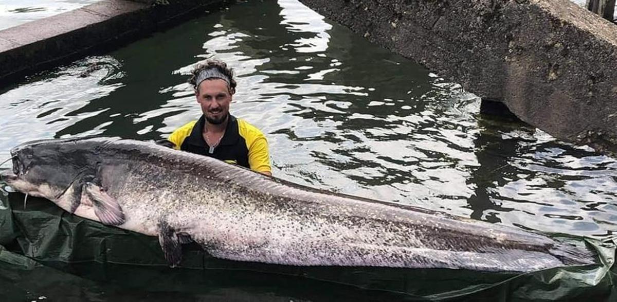 El ejemplar medía casi 2.5 metros y 90 kilos que pescó el francés Geoffrey Rulleau en 2019.