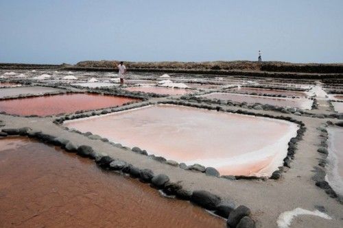 Reportaje en las Salinas de Tenefe en Pozo Izquierdo