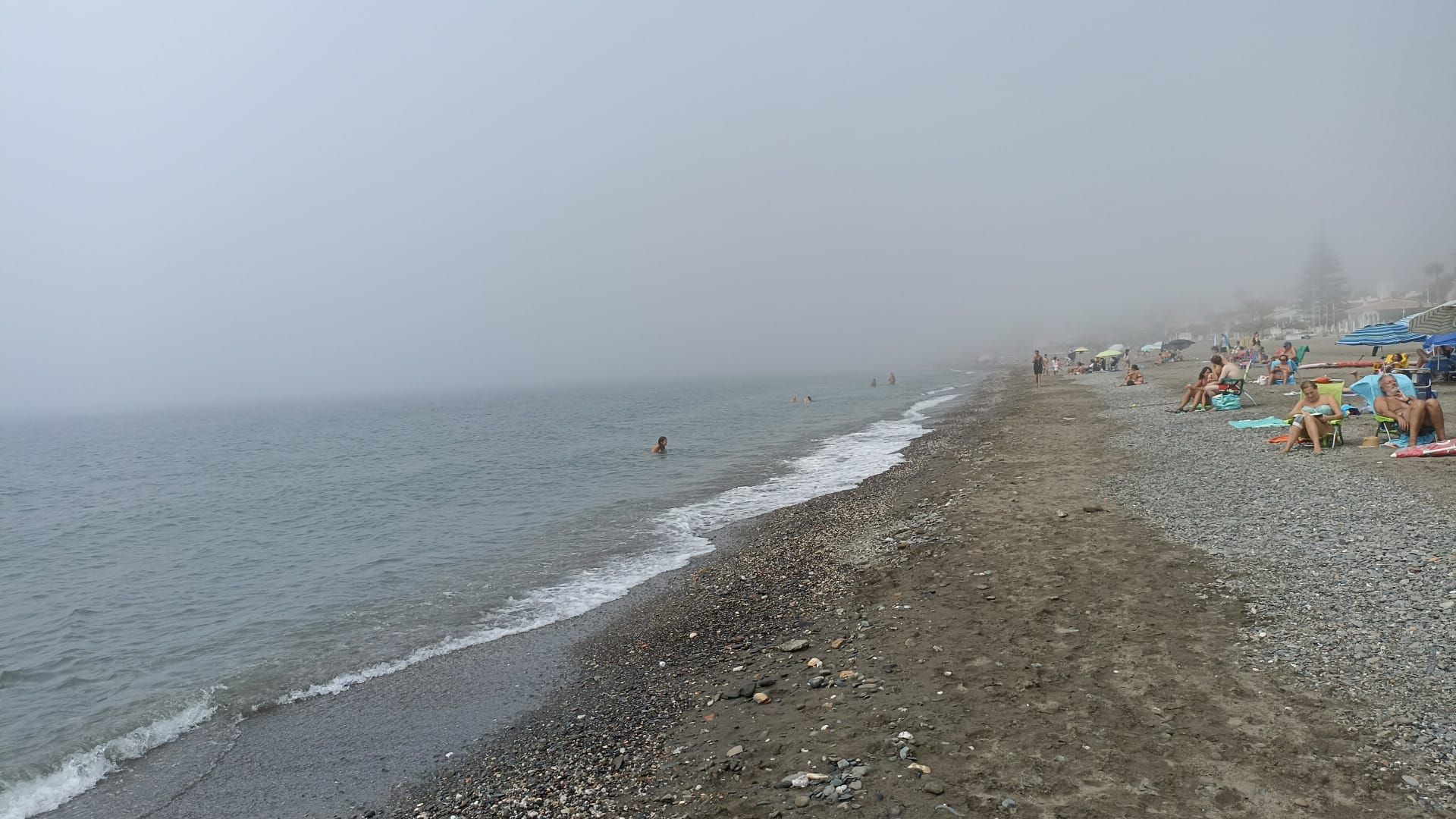 La taró cubre el litoral de Málaga