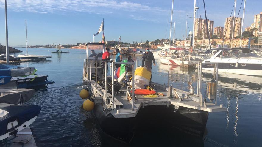 El Instituto de Ecología Litoral estudia la posidonia de la costa de Orihuela