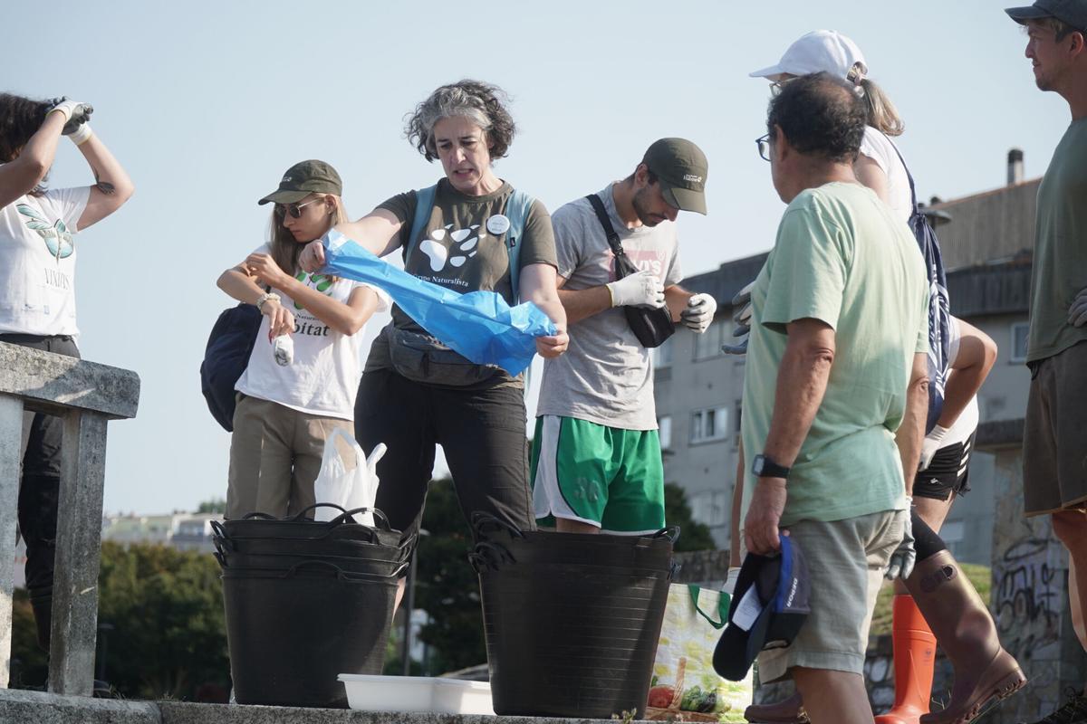 Limpieza ambiental en la ría do Burgo