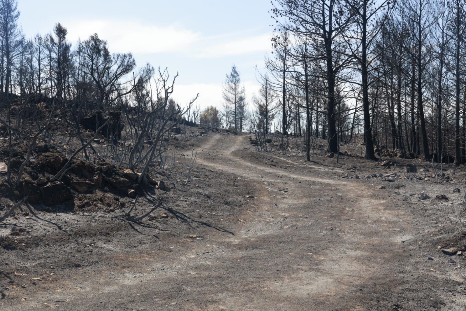 Las consecuencias del incendio de Bejís en Teresa