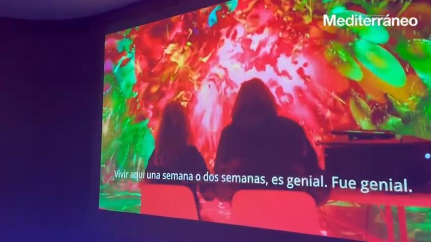 Bellver Blue Tech Zone acoge una experiencia de arte digital inmersiva inspirada en el océano