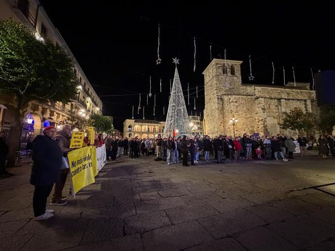 La lucha feminista tiñe de morado la Plaza Mayor de Zamora con motivo del 25N