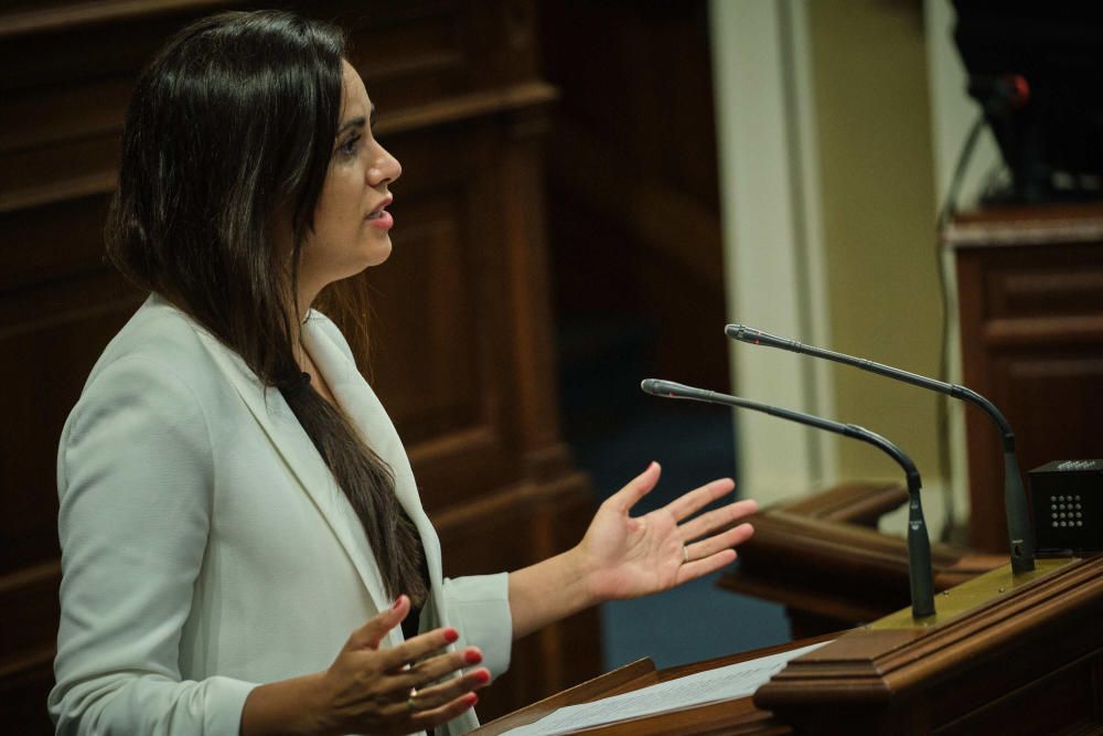 Pleno en el Parlamento de Canarias