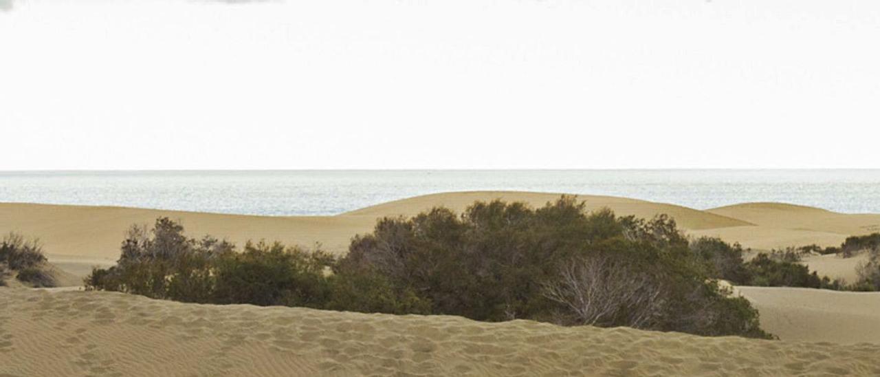 Dos turistas caminan por las dunas de Maspalomas, en el Sur de Gran Canaria.