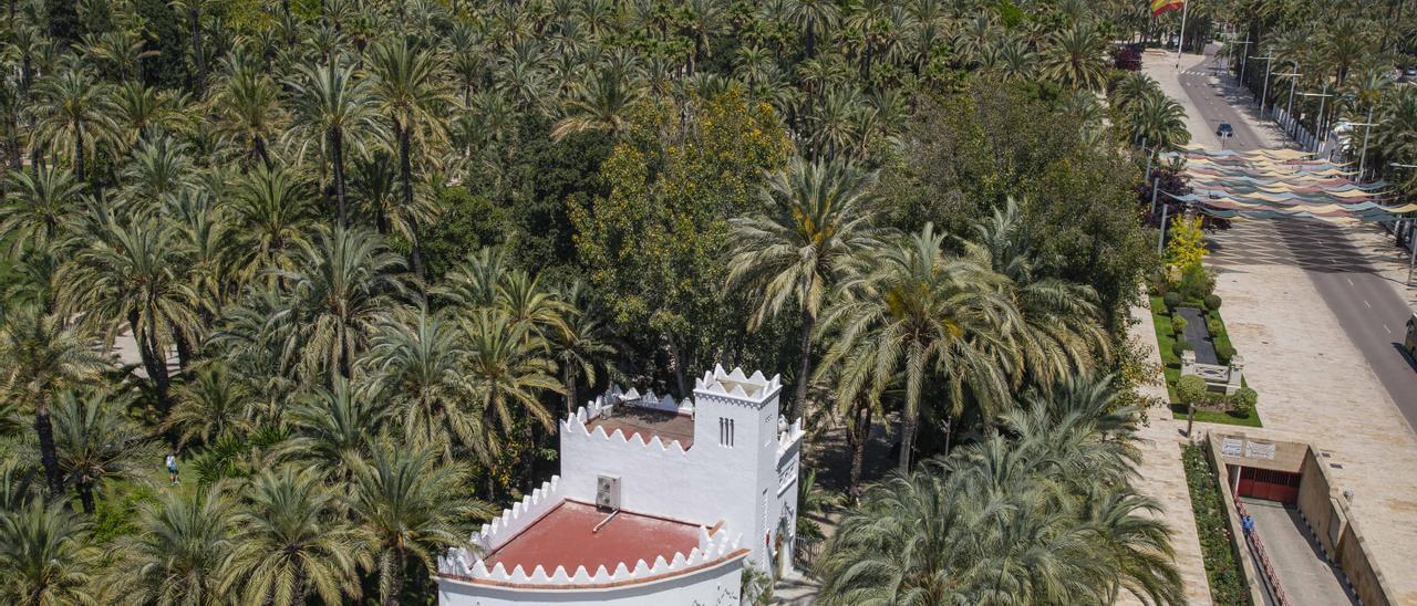 Vista del palmeral de Elche.