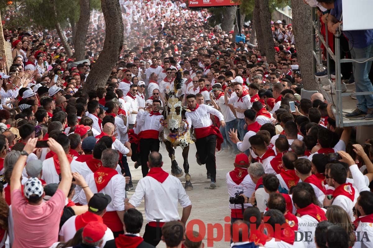 Así ha sido la carrera de los Caballos del Vino en Caravaca