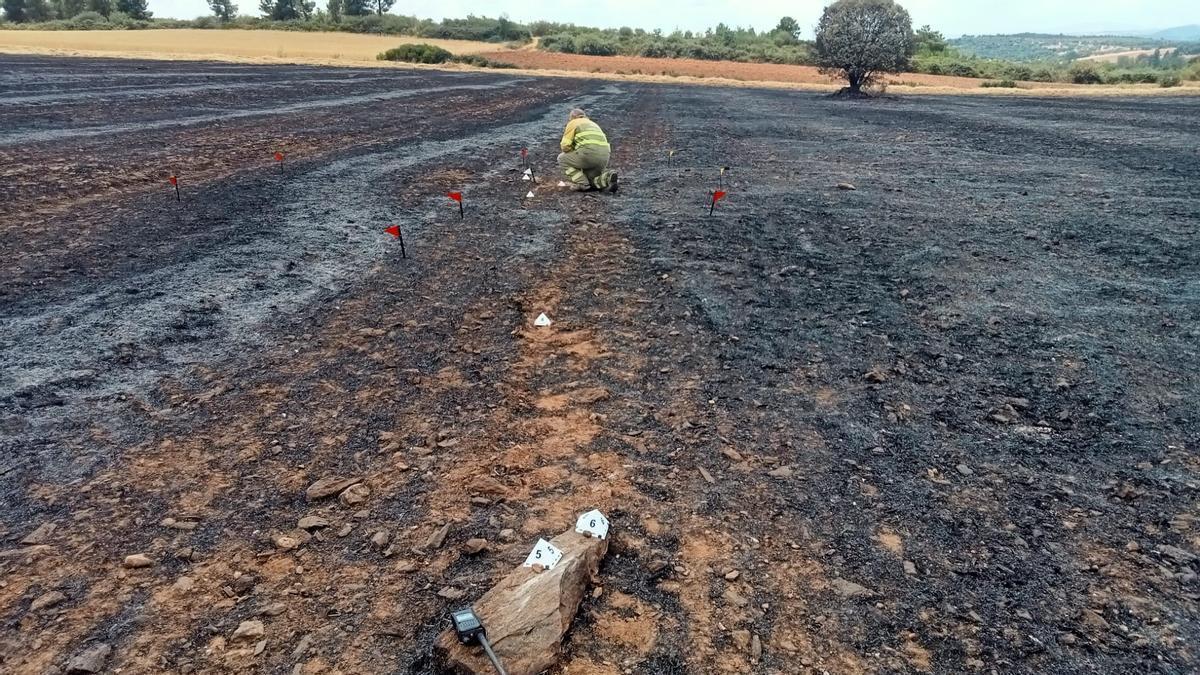 En primera línea la piedra que chocó contra el peine de la máquina y al fondo un Agente Medioambiental