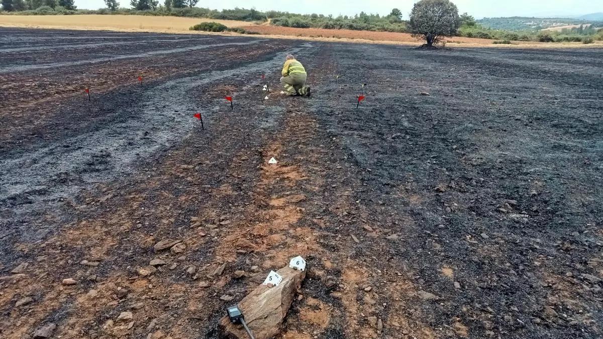 Controlado el incendio de Rábano de Aliste, provocado por el golpeo del peine de una cosechadora contra una piedra