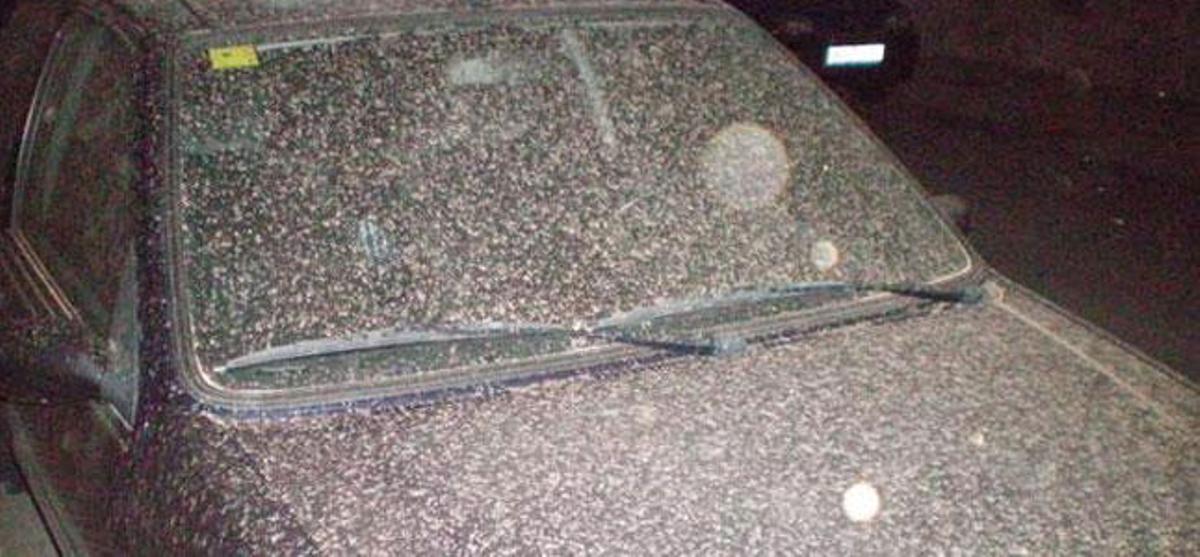 La Aemet alerta de lluvias acompañadas de barro este fin de semana