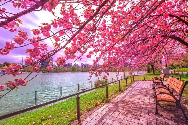 Parque Ueno, Tokio