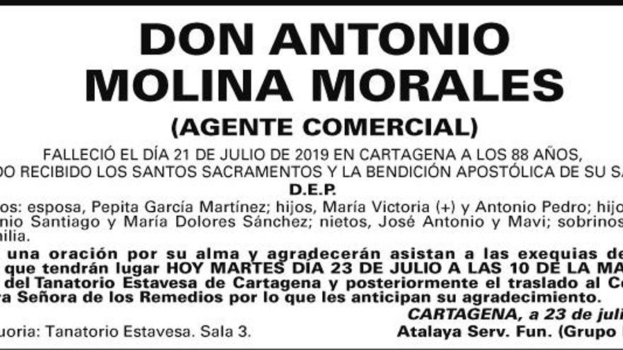 D. Antonio Molina Morales