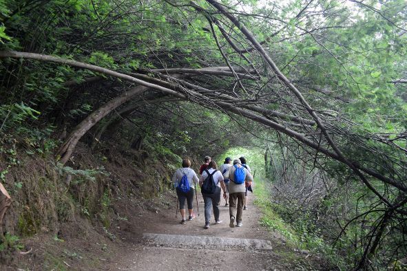 Un tramo del Camiño Portugués entre Tui y Valga.