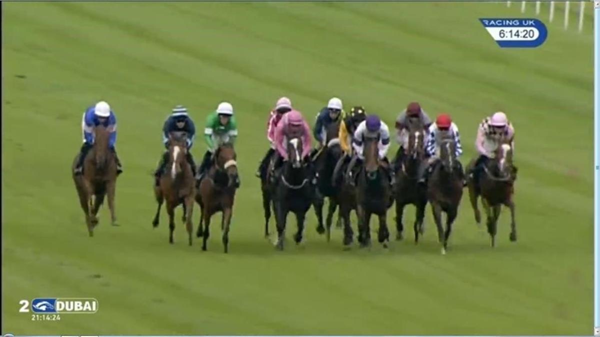 Captura de la imagen televisiva de la carrera en la que ha caído derrotado el caballo Brexit