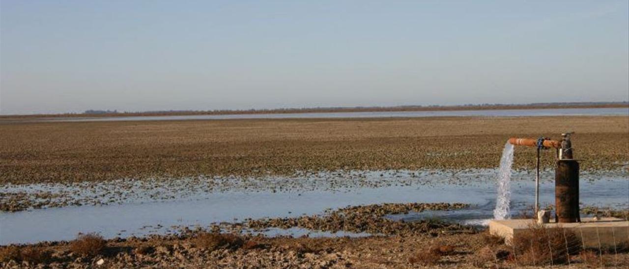 Pozo de agua en los humedales de Doñana (Huelva).