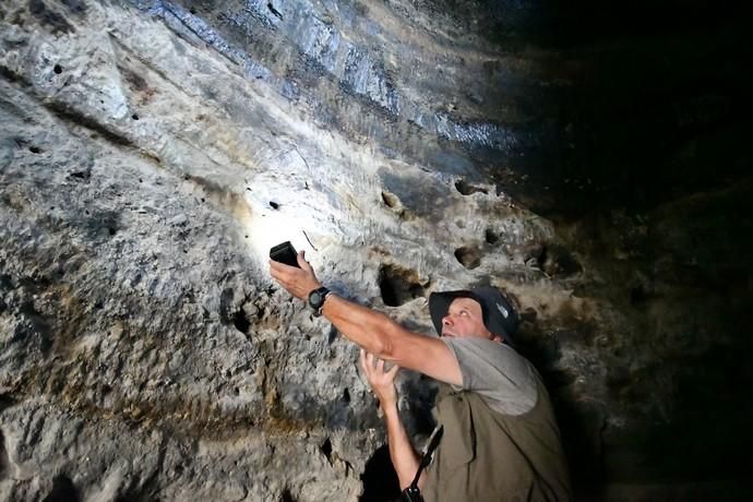 23/08/2019 RISCO CAÍDO. ARTENARA. El arqueólogo, Julio Cuenca, visita Las cuevas de Risco Caído después del incendio.   Fotógrafa: YAIZA SOCORRO.  | 23/08/2019 | Fotógrafo: Yaiza Socorro